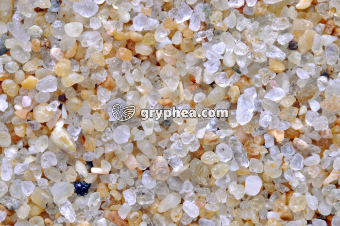 Sable quartzeux - Plage de La Baule (Loire Atlantique) x3 - gryphea.com